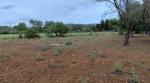 SOLAR EN VENTA EN TORRE DE CANYAMEL, immagine 5