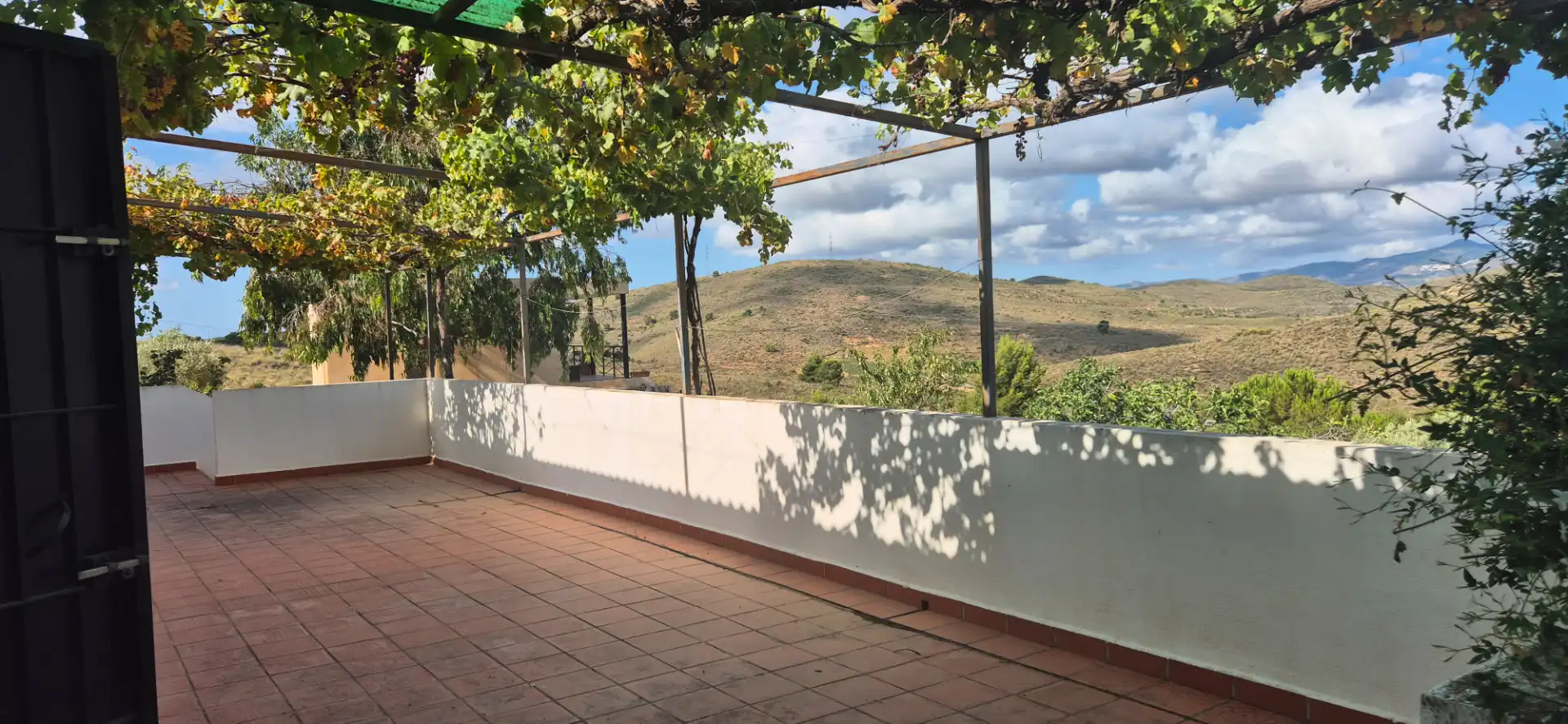 Terrain rustique à vendre à Alcolea, imagen 8