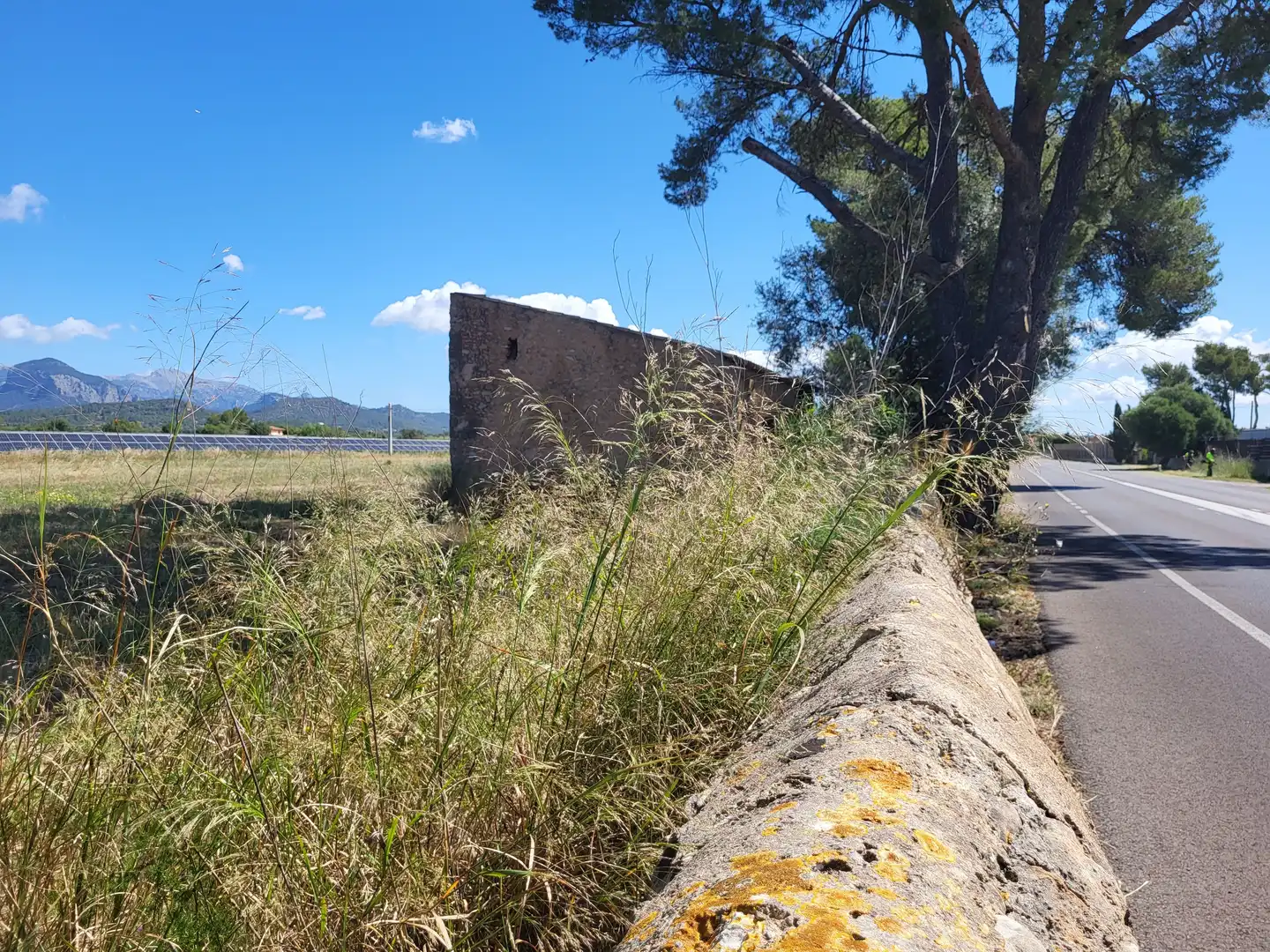 Terrain rustique à vendre à Polígono 2 Parcela 1, imagen 25