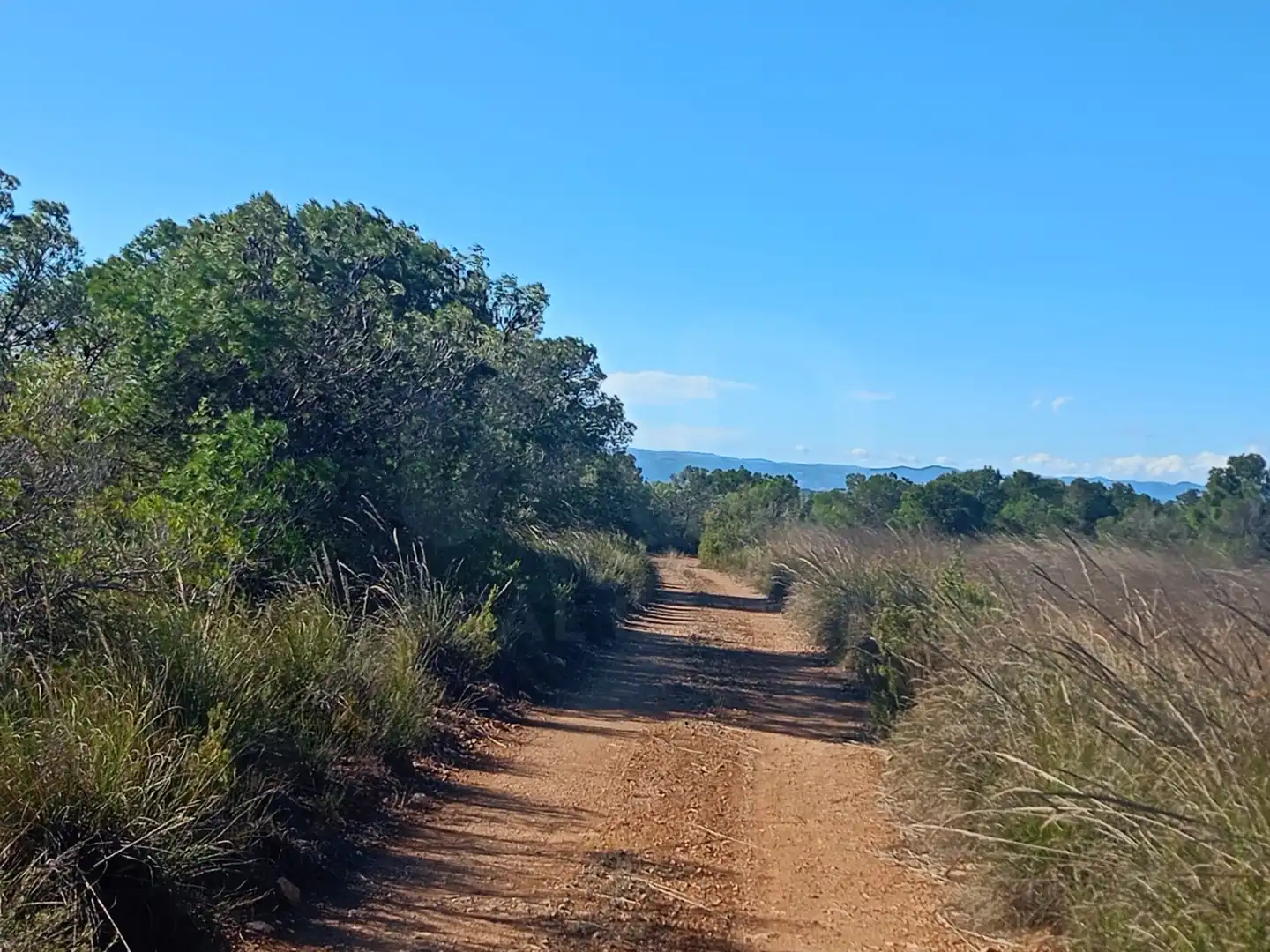Grundstücke zum Verkauf in Lorca