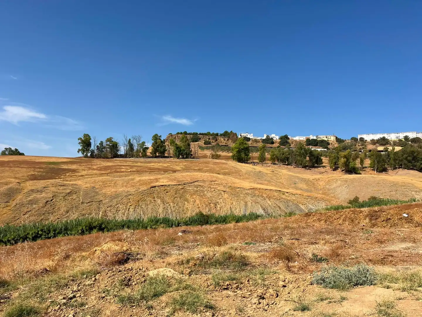 Rural land for sale in Carmona, imagen 2