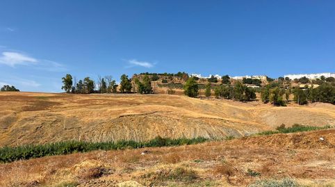 Venta de finca rústica en Carmona Sevilla, immagine 2