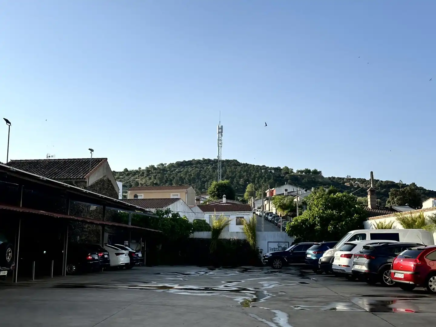 Vista exterior de Casa o chalet en venta en Madroñera