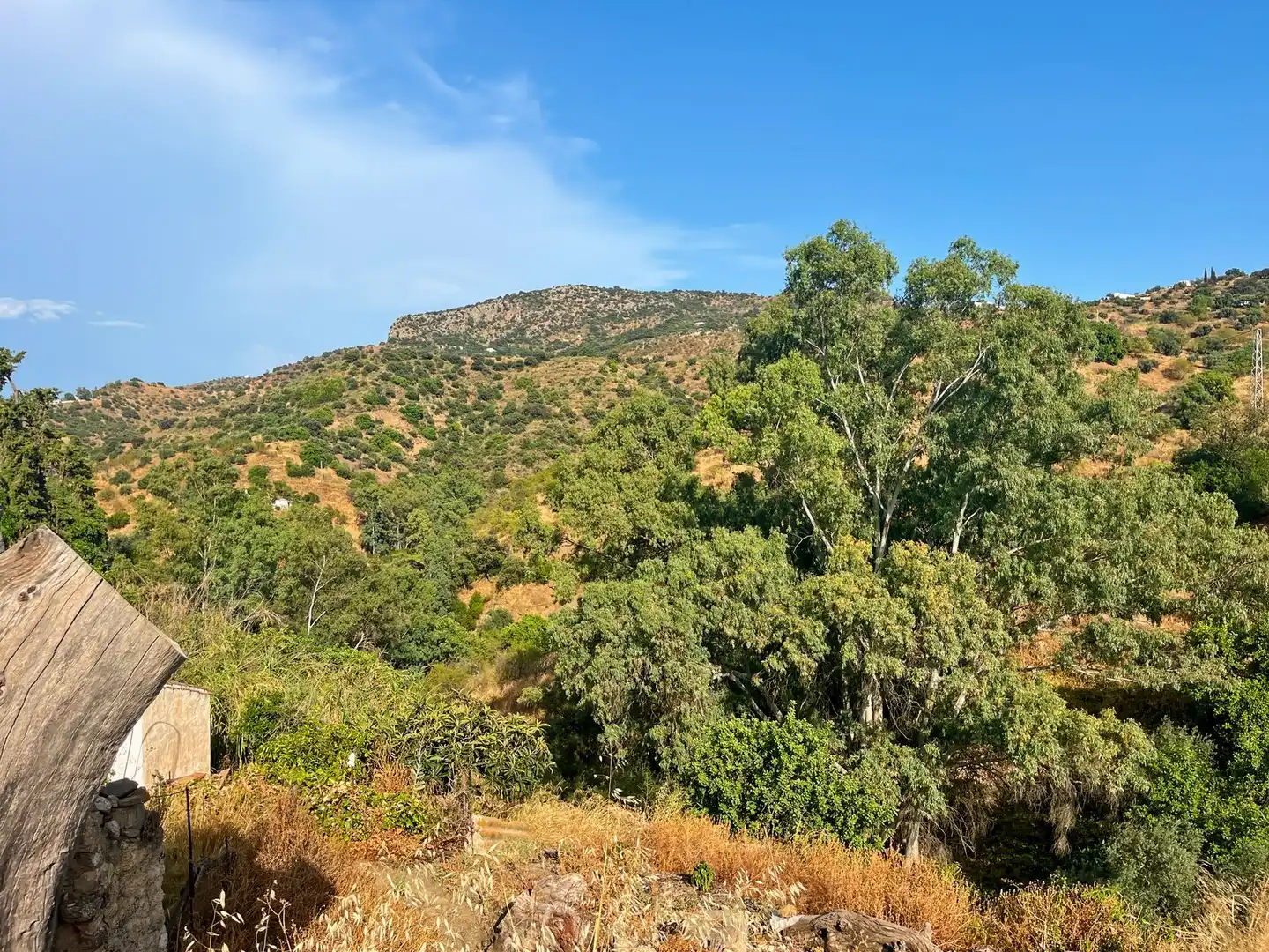 Country homes for sale in Comares