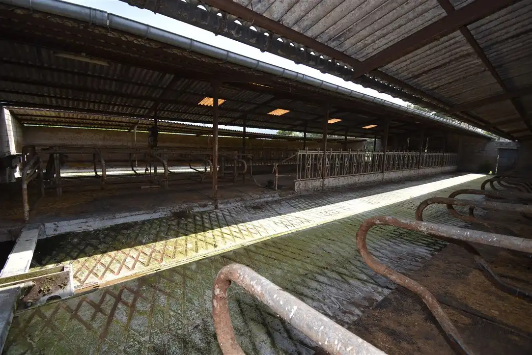 Industrial building for sale in Barrio Solorz, imagen 10