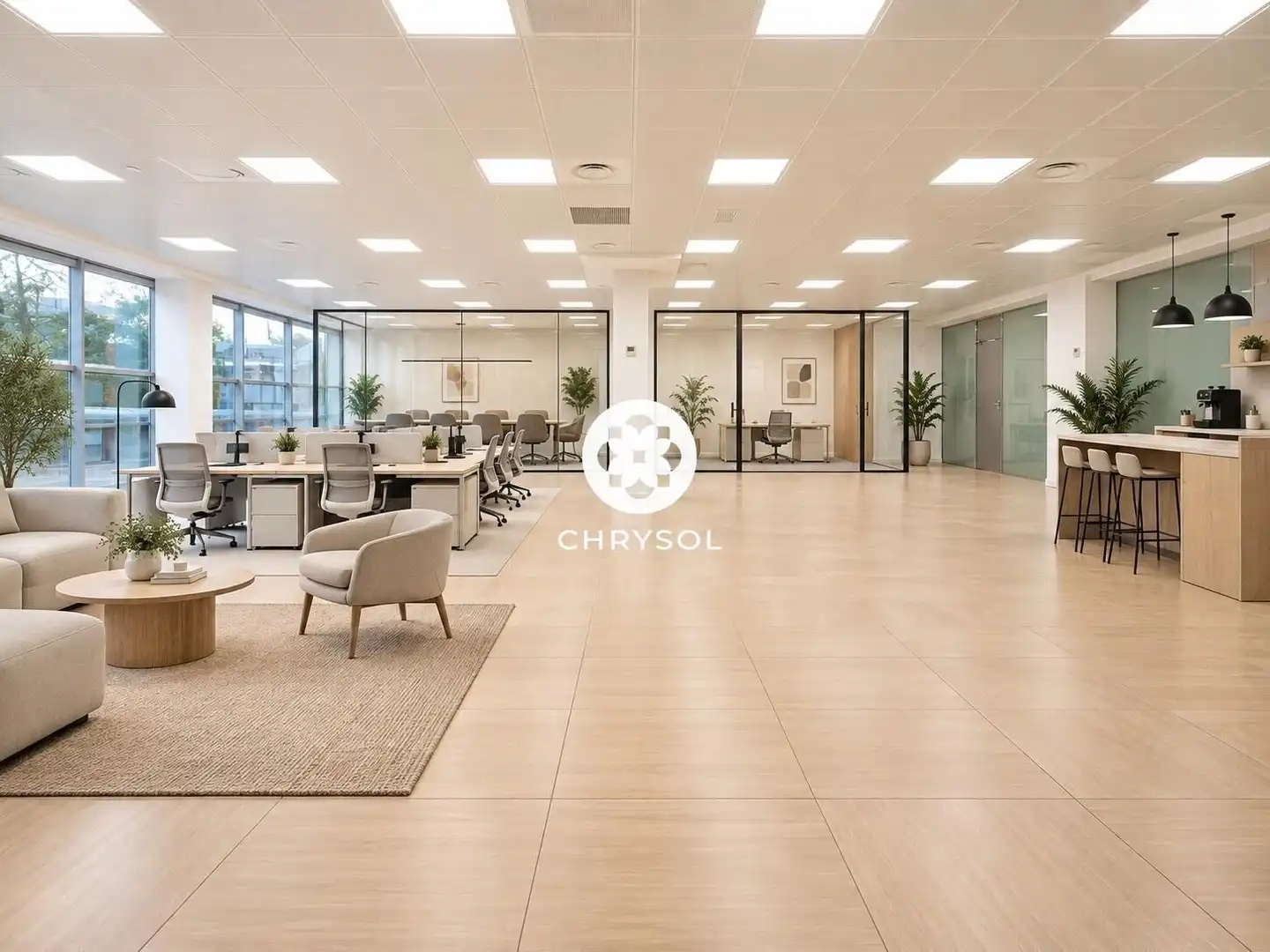 Office space with lift for sale in Avenida Avinguda Corts Catalanes