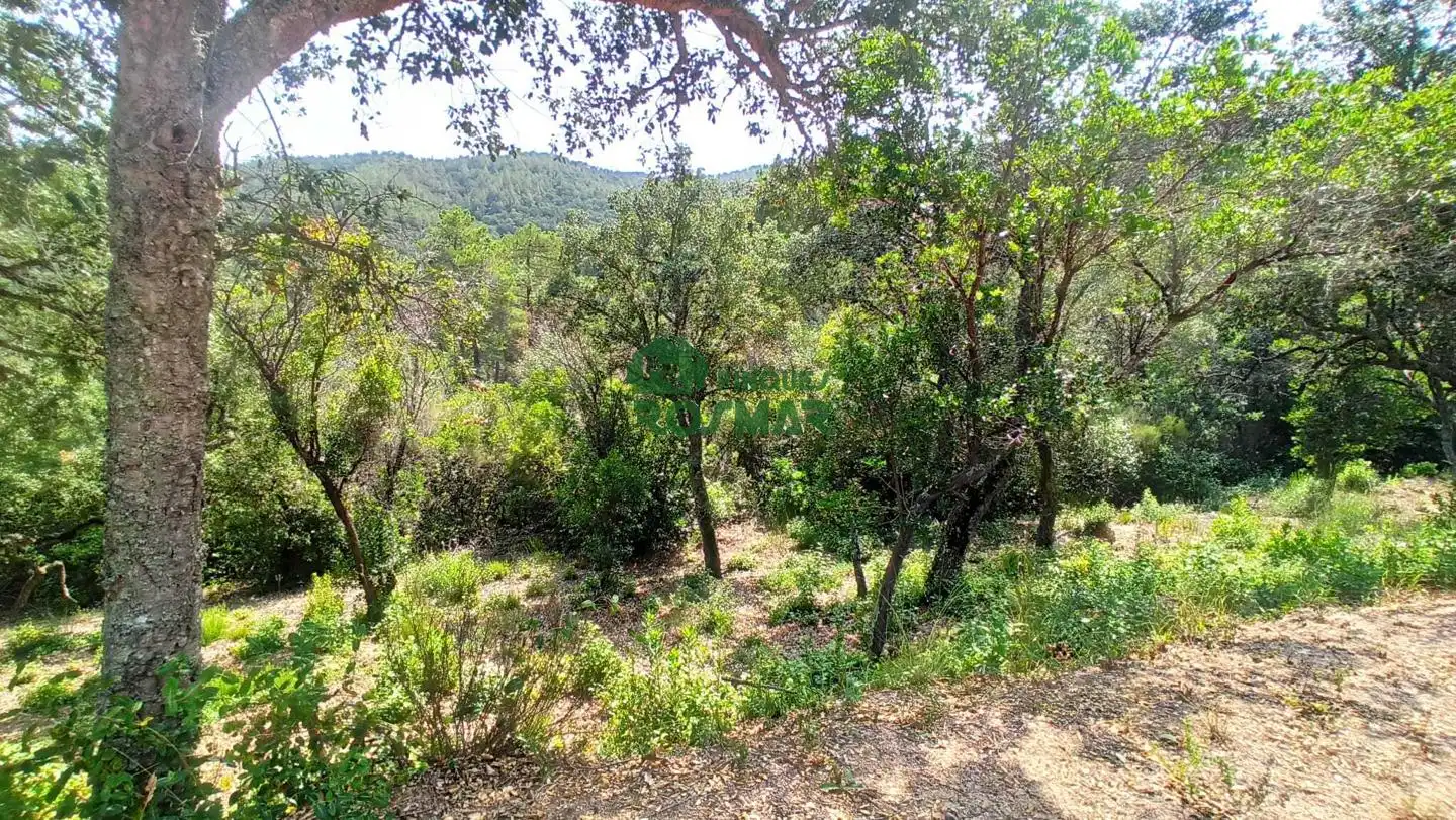 Terreny rústic en venda a Lloret Blau - La Creu de Lloret, imagen 7