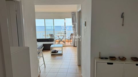 Foto 2 von Dachboden zur Miete in Pou Des Cans, Sant Carles, Santa Eulària des Riu