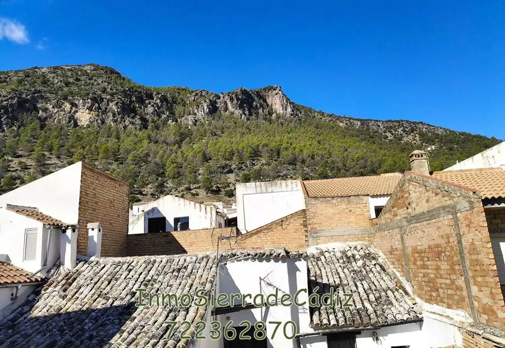 Vista exterior de Casa o chalet en venta en Algodonales con Terraza y Balcón