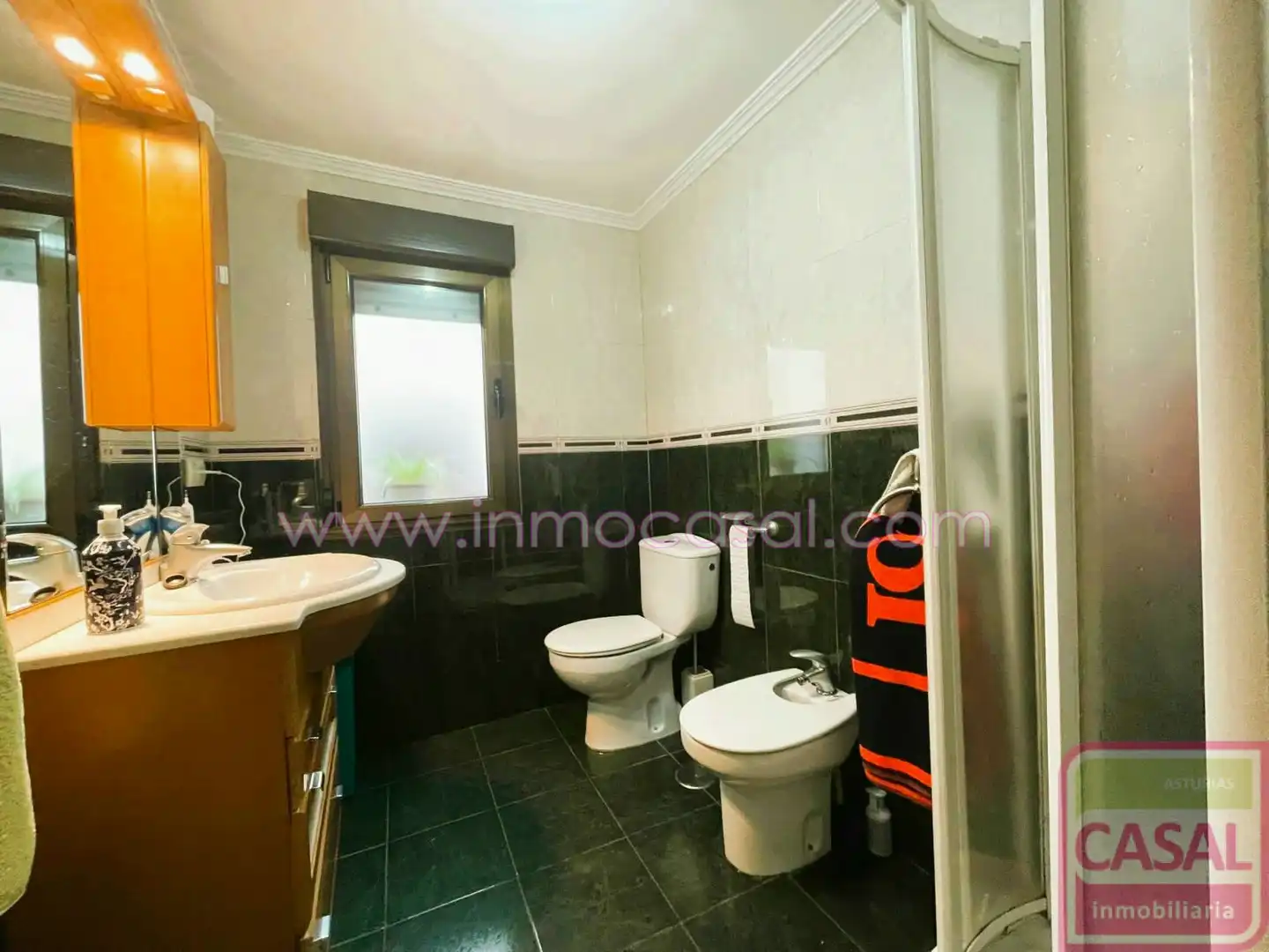 Bathroom of Flat for sale in Mieres (Asturias)  with Heating, Storage room and Furnished