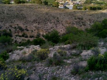Terreny residencial en venda a Alguazas