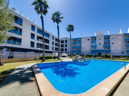 Swimming pool of Flat for sale in Torrevieja  with Terrace, Swimming Pool and Balcony