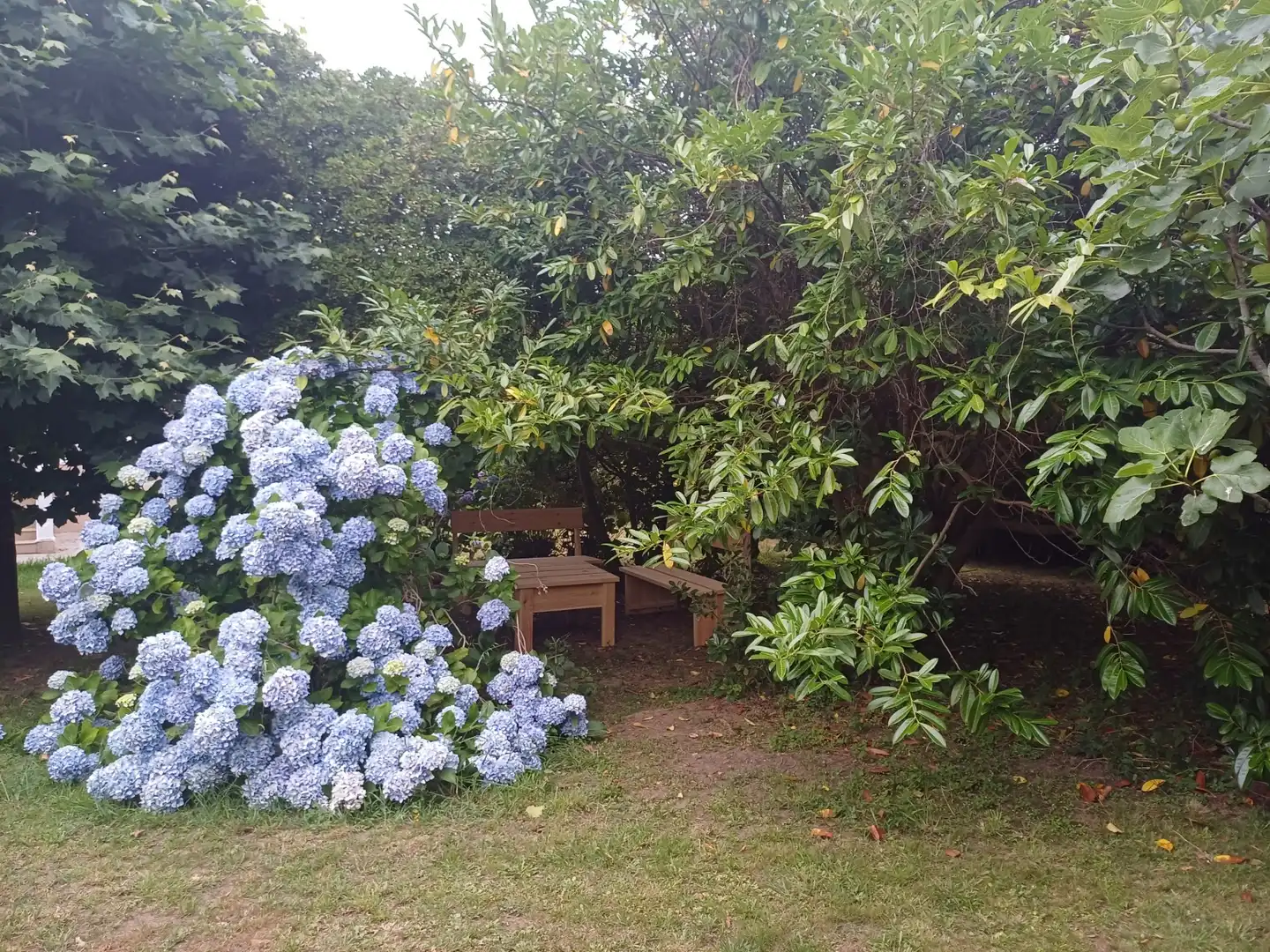 Jardí de Casa o xalet de lloguer en Foz amb Jardí privat i Moblat