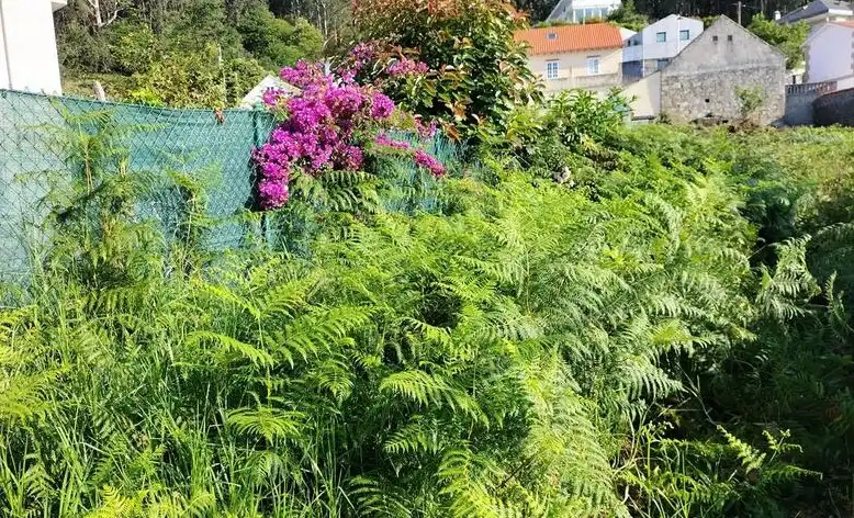 Residential land for sale in Lugar Freixeiro, imagen 12