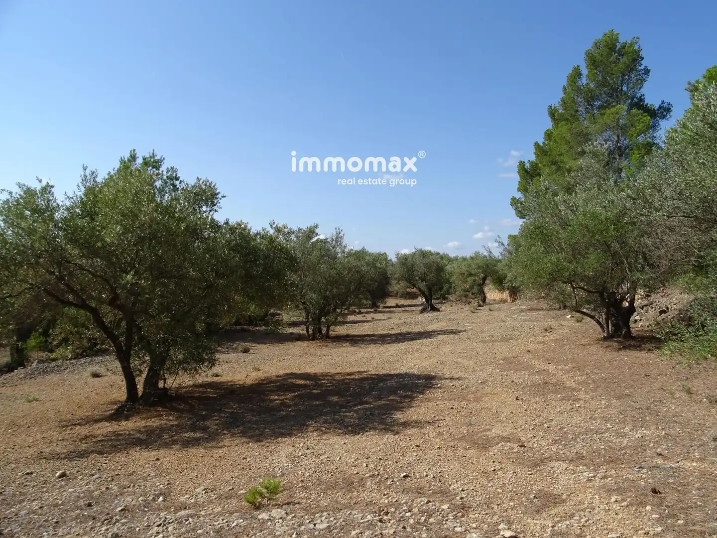 Terrain résidentiel à vendre à 13, imagen 14