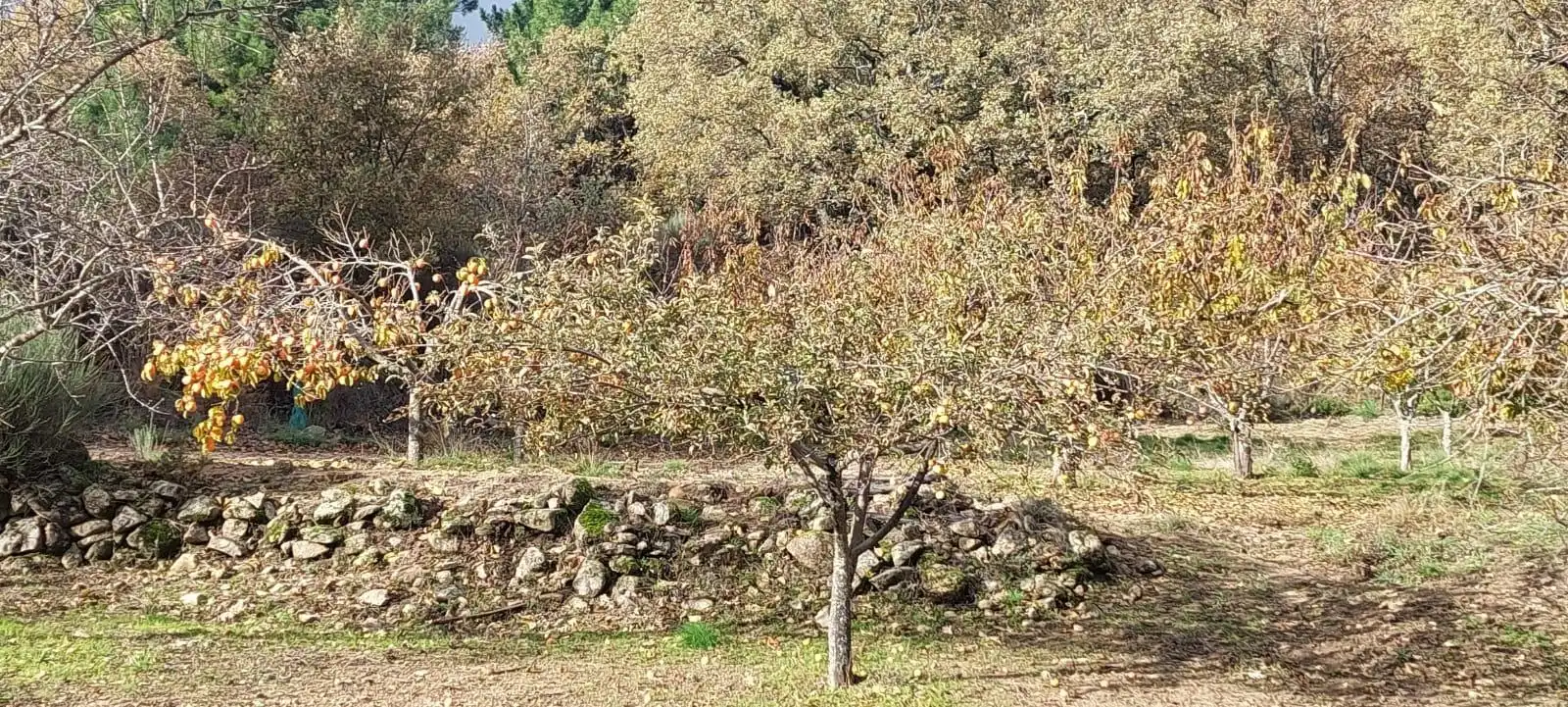 Terreni e lotti in vendita a Gata, imagen 26