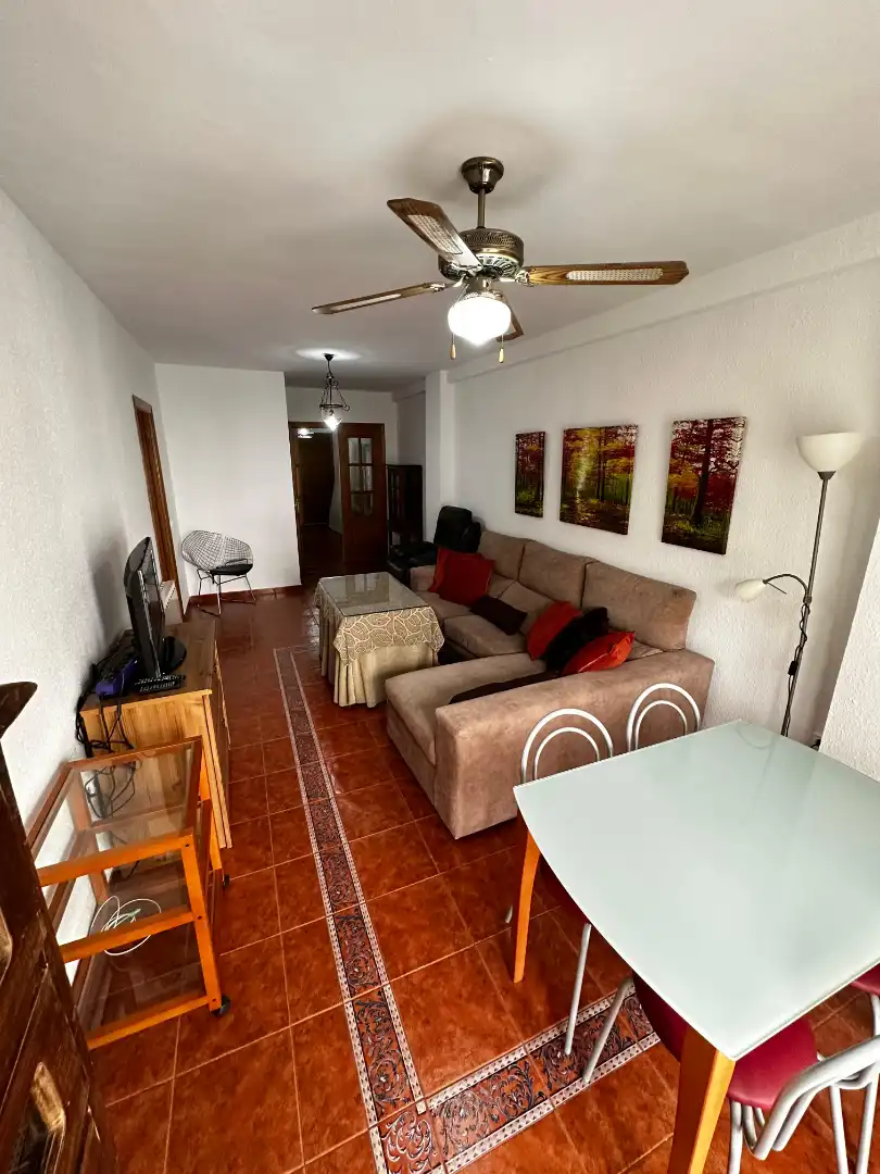 Sala d'estar de Pis de lloguer en Jaén amb Aire condicionat, Calefacció i Moblat