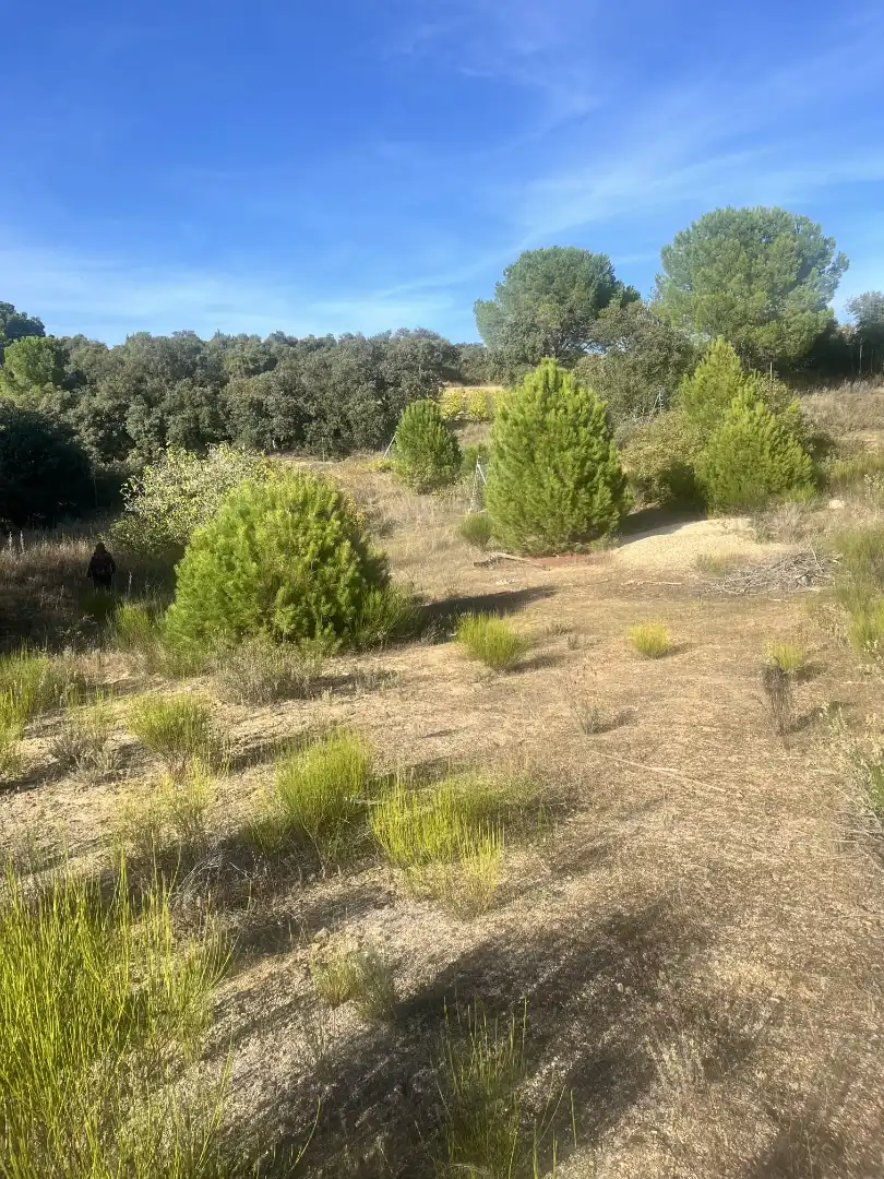 Rural land for sale in Autovía de los Pantanos 51, imagen 3