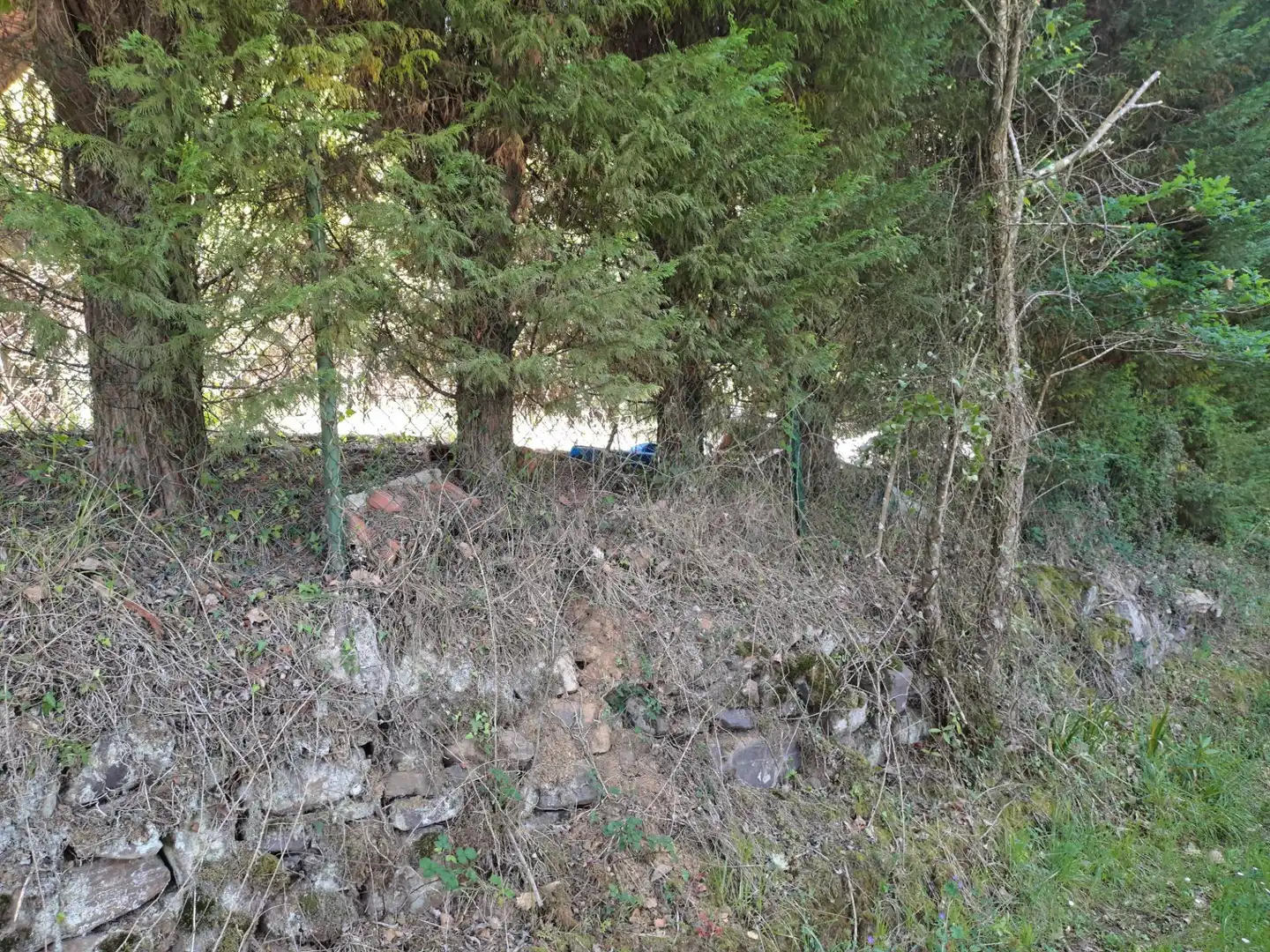 Terreny rústic en venda a CASTAÑEDO, imagen 7