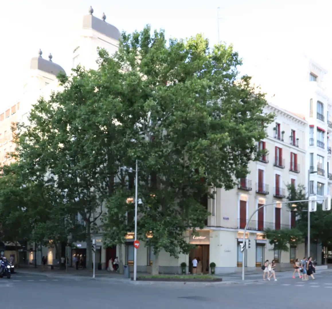 Appartement avec terrasse à vendre à Calle de Serrano, imagen 3