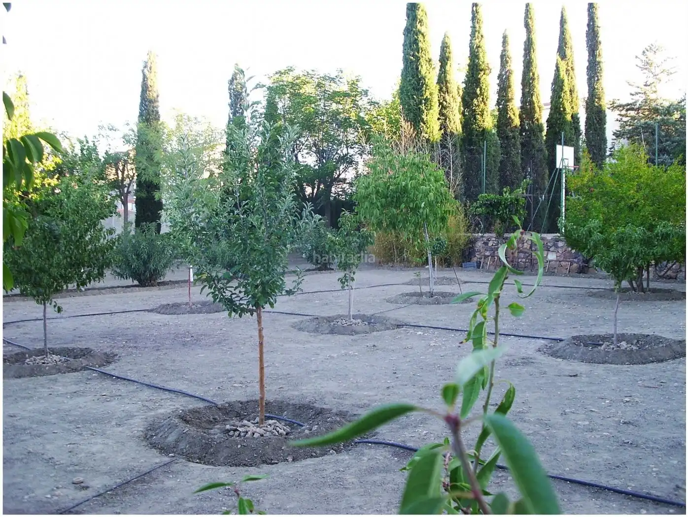 House for sale in Calle la Villa 32, imagen 18