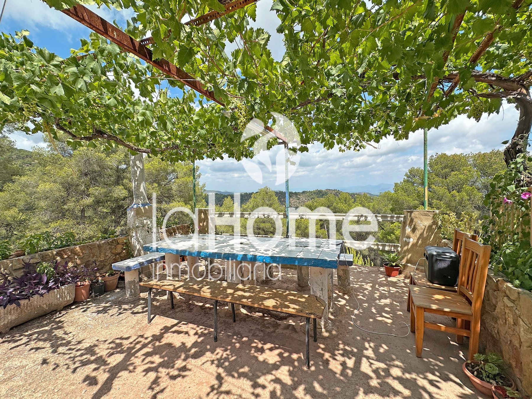 Finca rústica en venta