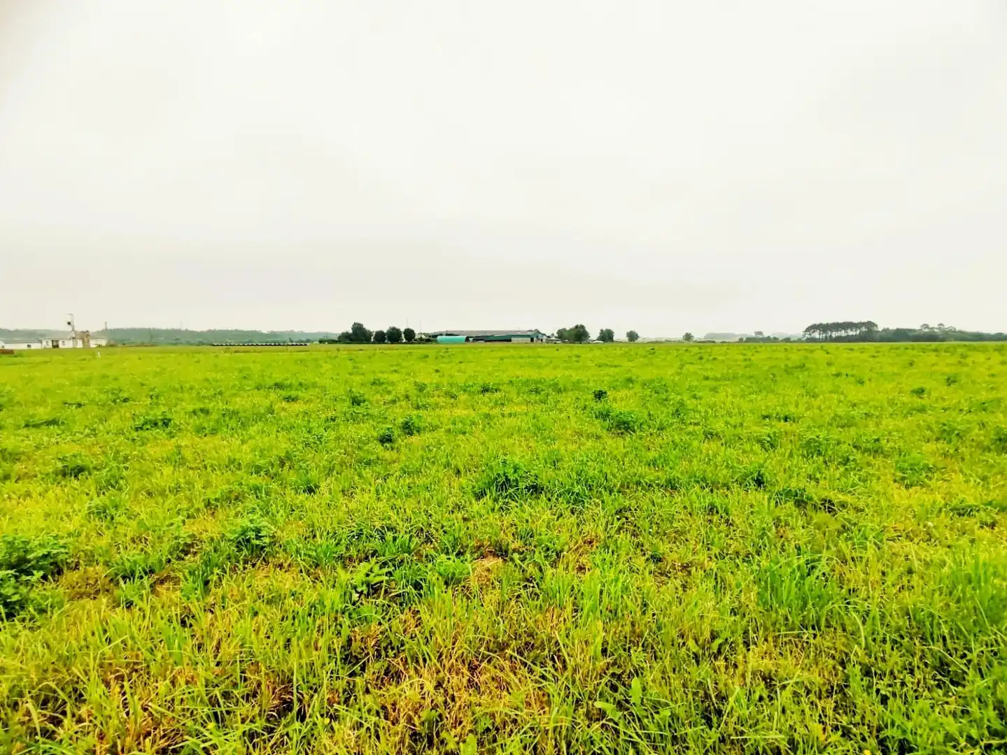 Terreno residencial en venta en Lugar Brul, imagen 5