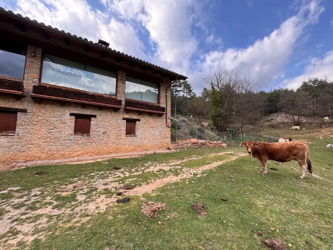 Vista exterior de Finca rústica en venta en Ripoll con Jardín privado, Parquet y Terraza