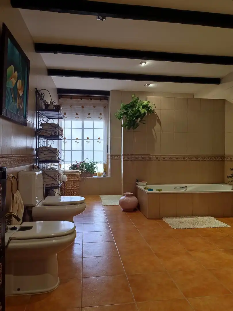 Bany de Casa o xalet en venda en La Romana amb Aire condicionat, Calefacció i Jardí privat