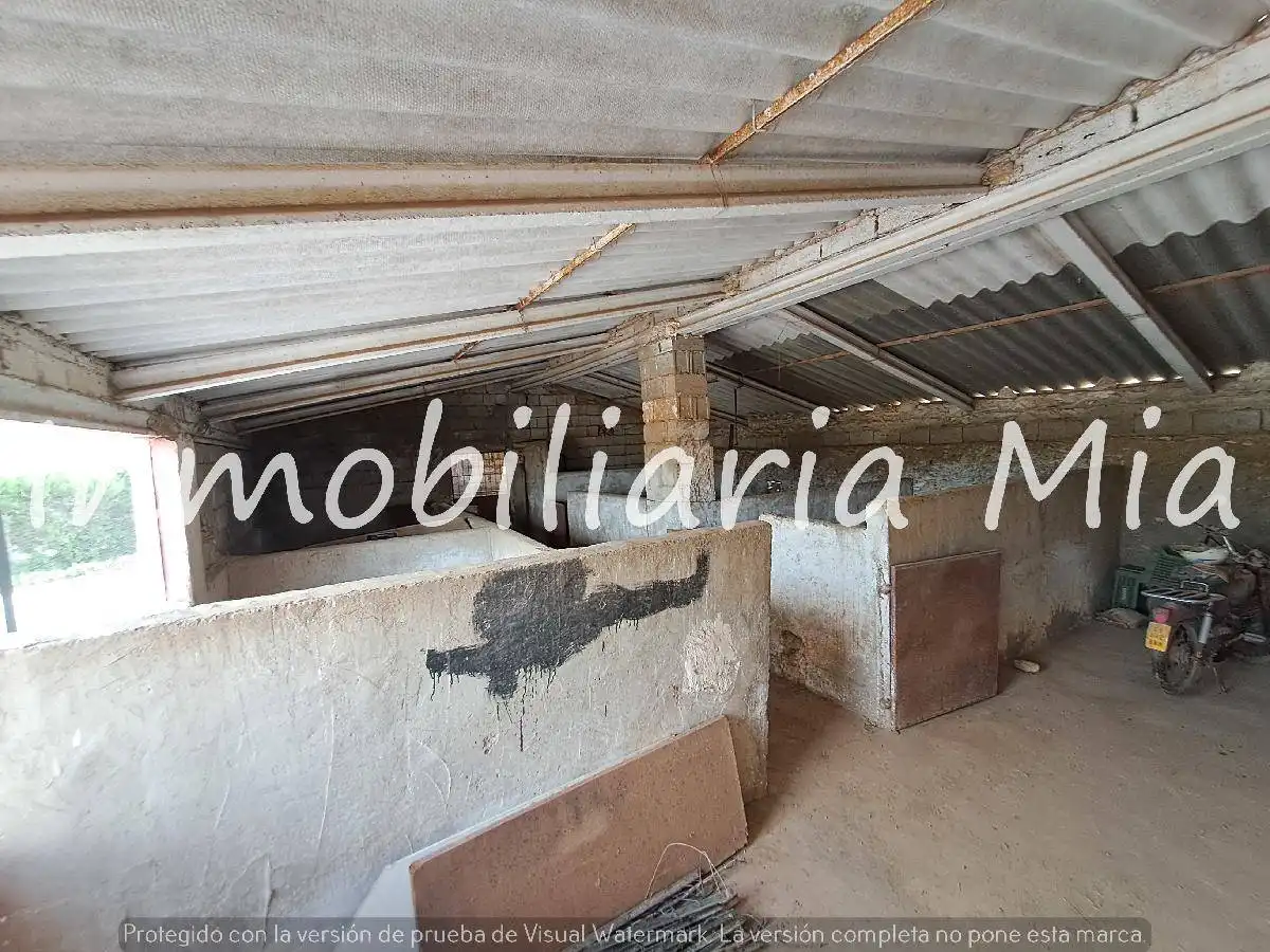 Casa con giardino in vendita a Pedanías Sur, imagen 21