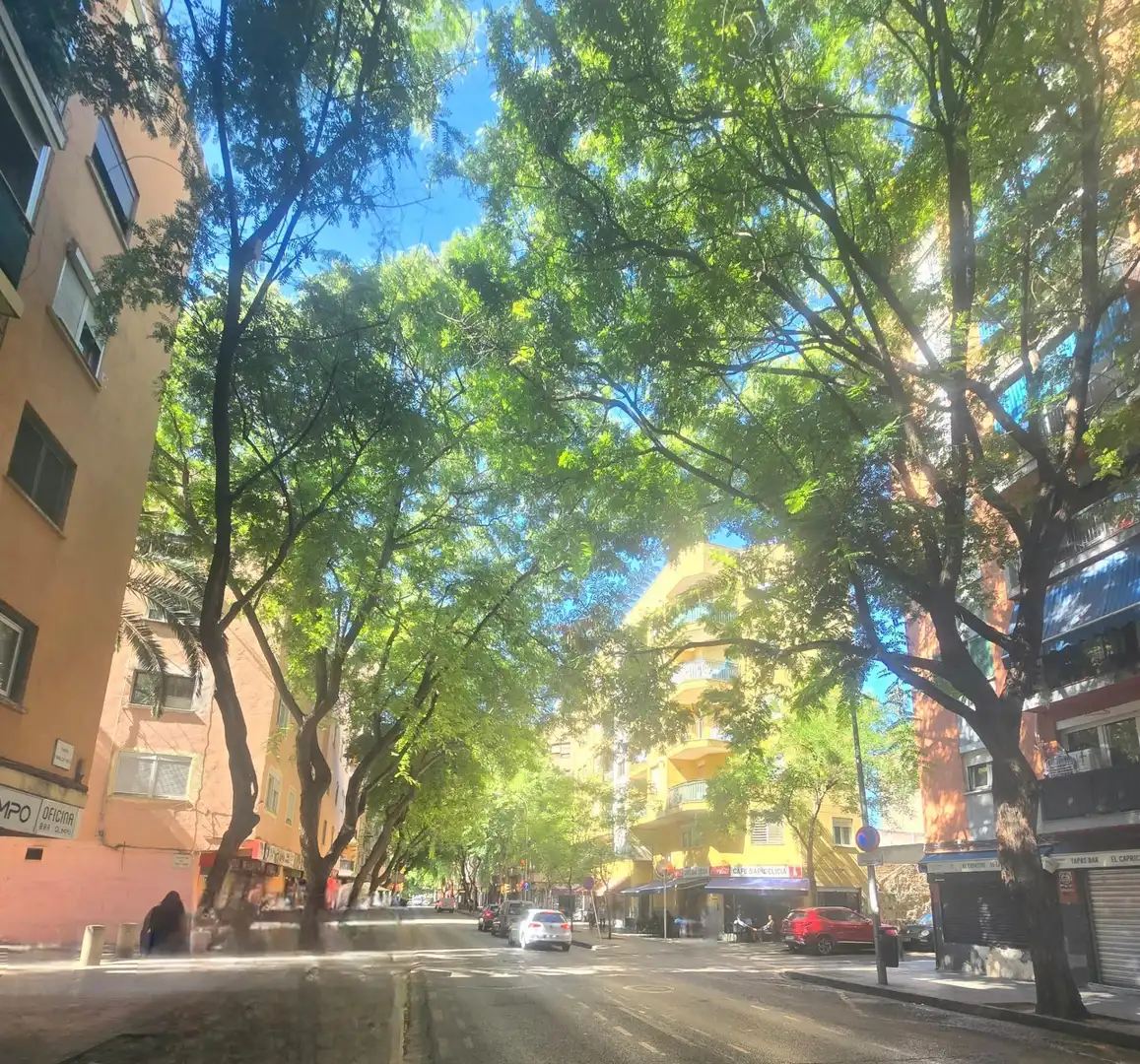 Piso con terraza en venta en Llevant, imagen 24