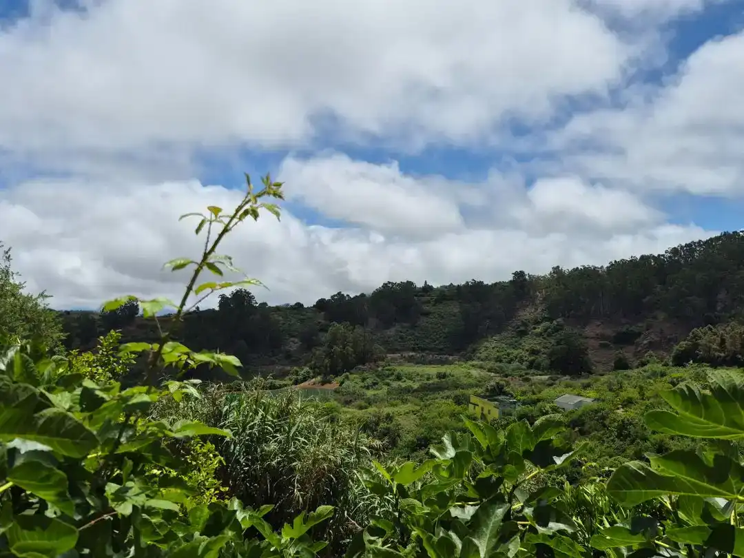 Planta baixa en venda en Moya (Las Palmas) amb Jardí privat, Parquet i Traster