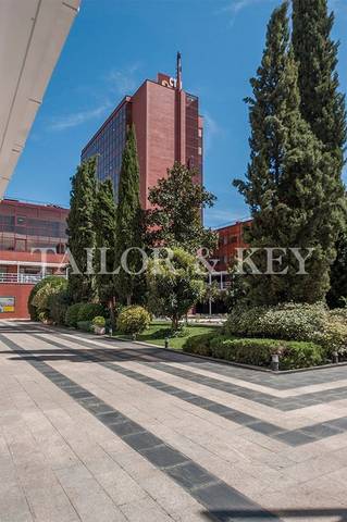 Local comercial en Alquiler en Calle Eje 1 en Ensanche de Vallecas - La Gavia