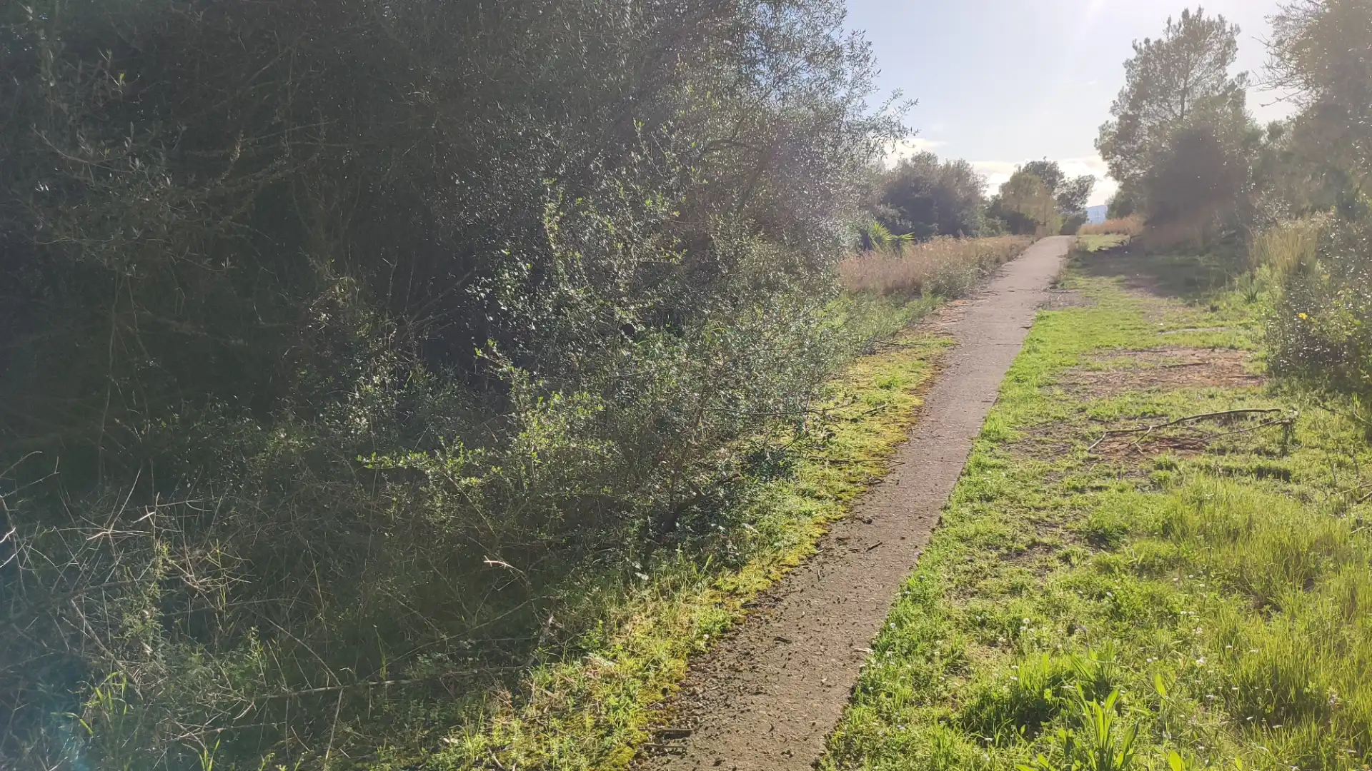 Residential land for sale in Carrer Puig des Teix 17, imagen 4