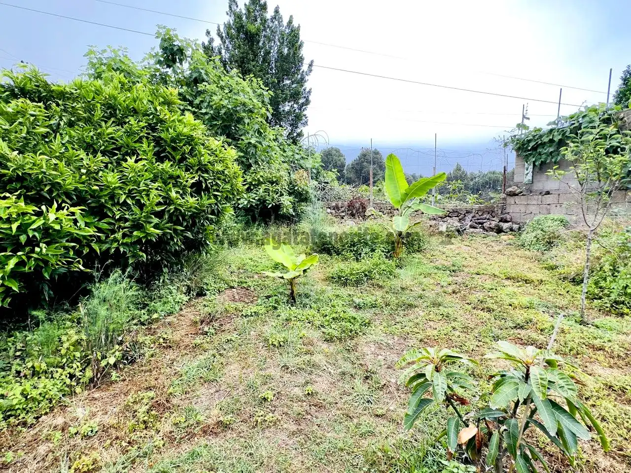 Casa o xalet en venda a Santa Bárbara - La Florida