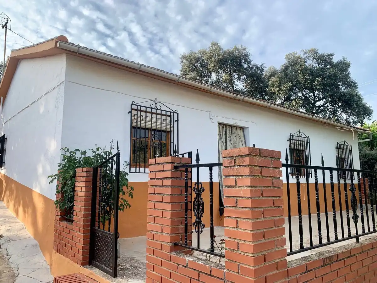 Vista exterior de Finca rústica en venta en Zagra con Jardín privado y Terraza