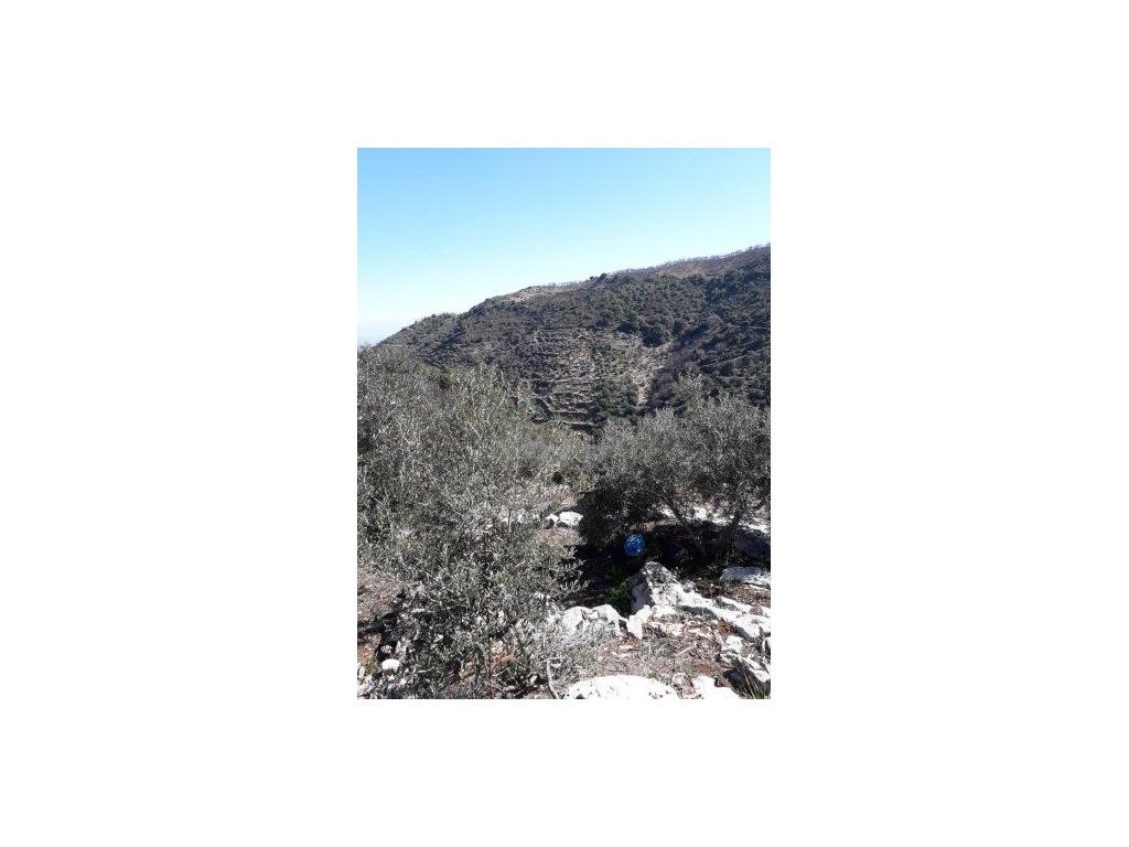 House or chalet for sale in Yunquera