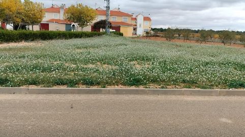 TERRENO URBANO EN CASAS DE BENITEZ, imatge 4