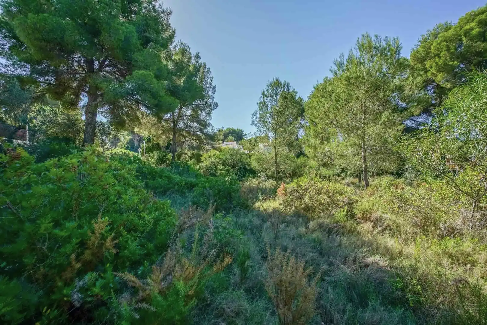 Residential land for sale in Centro ciudad, imagen 7
