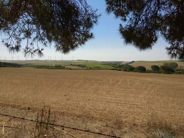 Terreno rustico in vendita a Los Franceses – La Vega