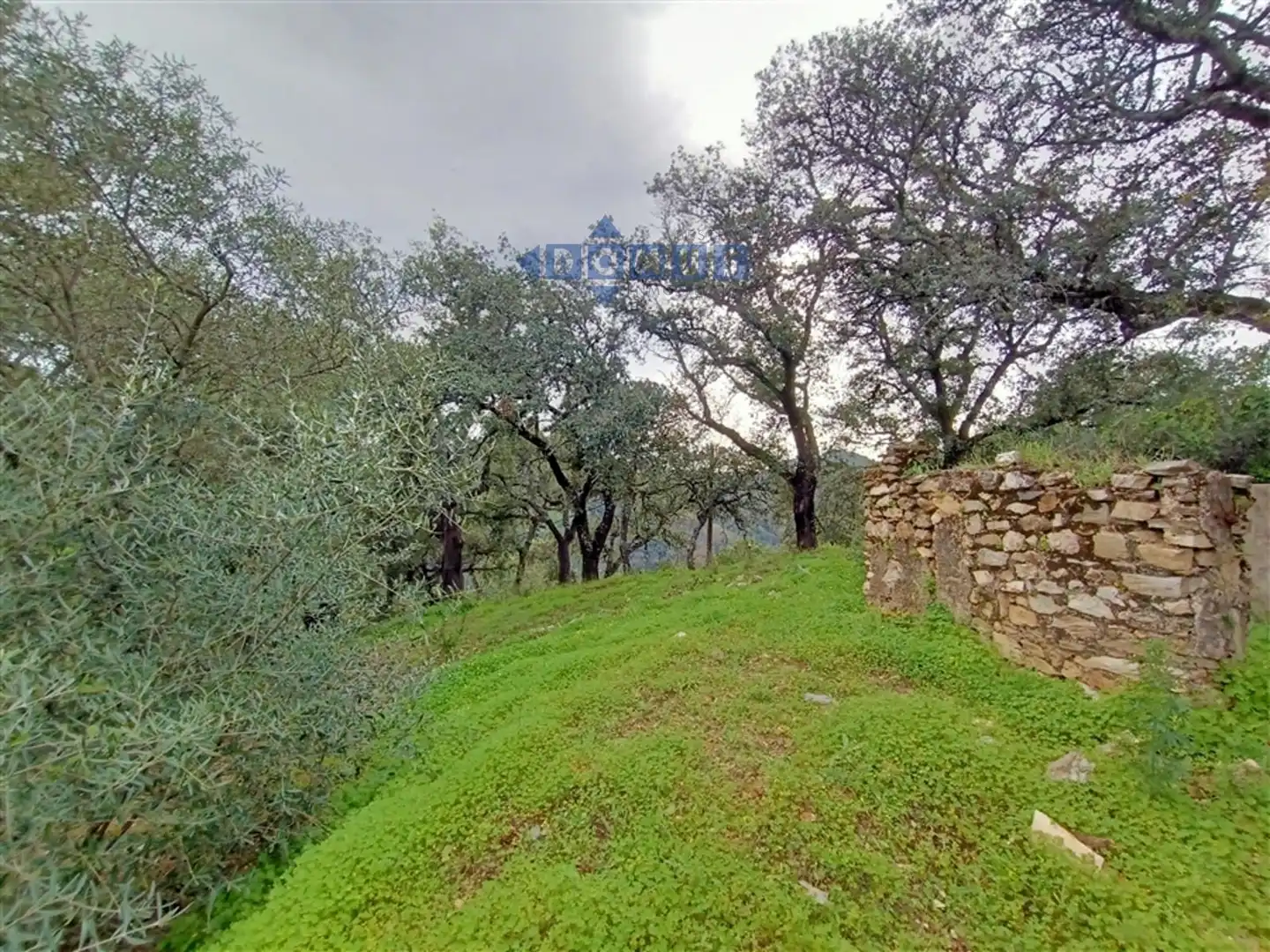 Casa rústica en venda a Algatocín, imagen 15