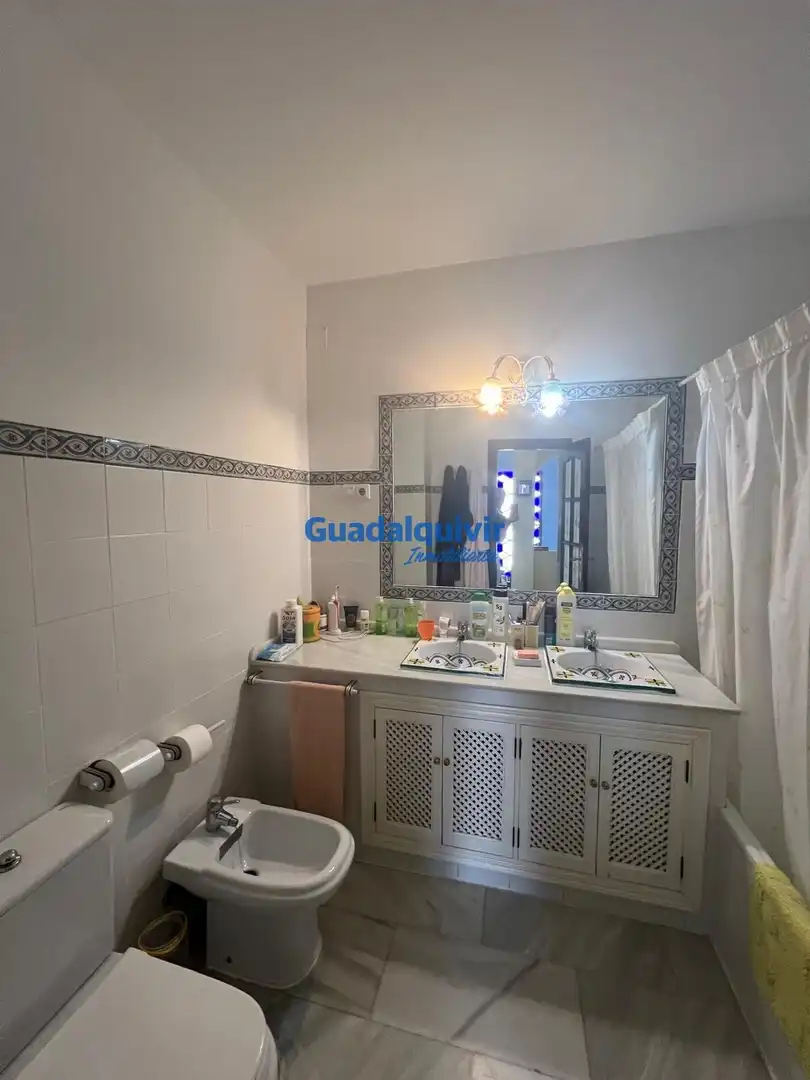 Bany de Casa o xalet en venda en Dos Hermanas amb Aire condicionat, Jardí privat i Terrassa