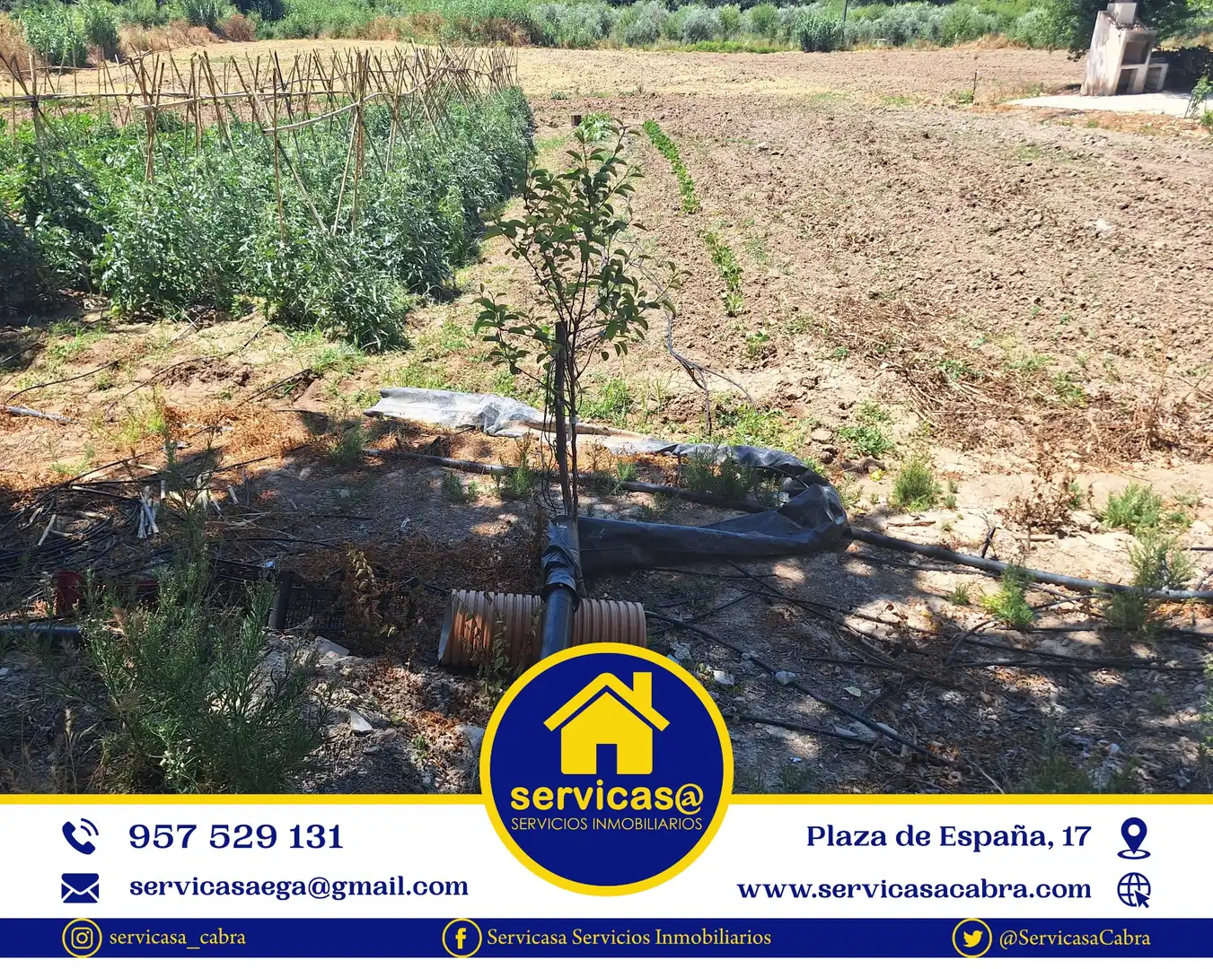 Finca rústica en venta en Cabra