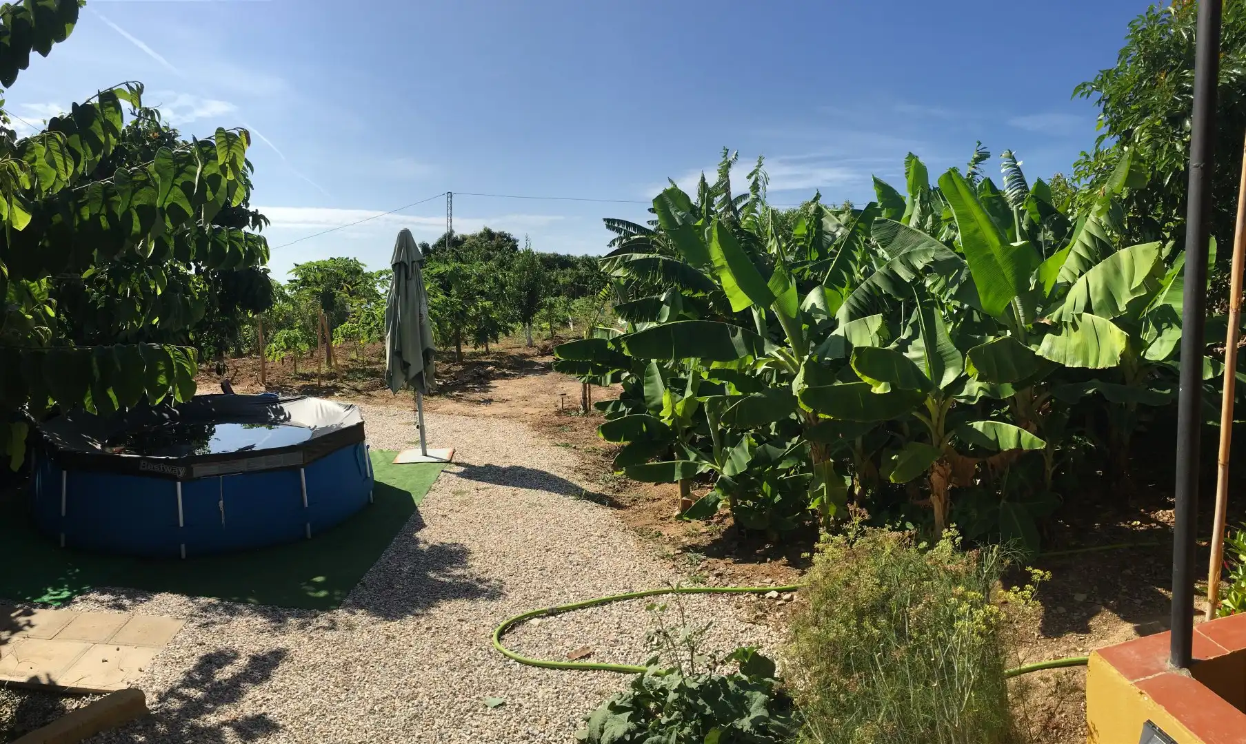 Casa rústica en venda a Monte los Almendros - El Pargo - Costa Aguilera, imagen 36