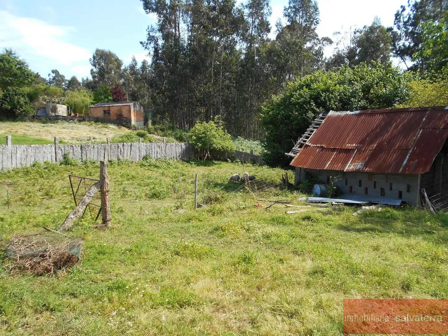 Terrenys i solars en venda a Salvaterra de Miño, imagen 2