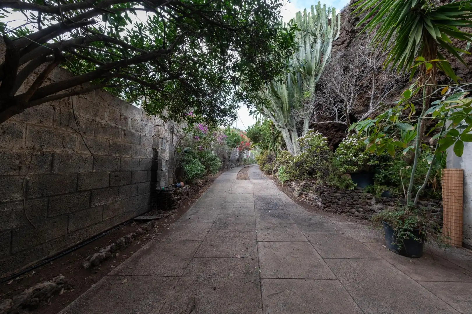 Casa o chalet en venta en Calle FUENTE MORALES, Almatriche