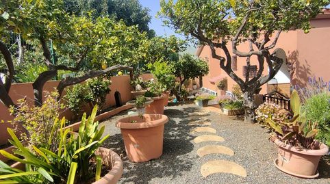 Foto 3 de Casa o chalet de alquiler en El Pedregal, Valsequillo de Gran Canaria, Las Palmas