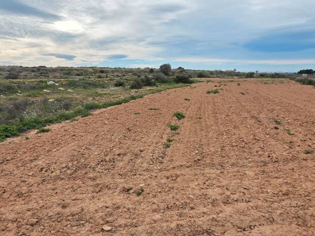 Terreno en Venta en Camí de la Molineta, 101 en Valverde