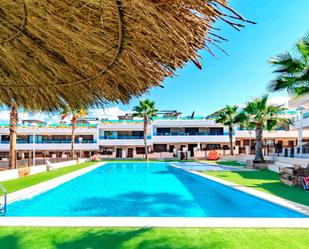 Swimming pool of Single-family semi-detached for sale in Torrevieja