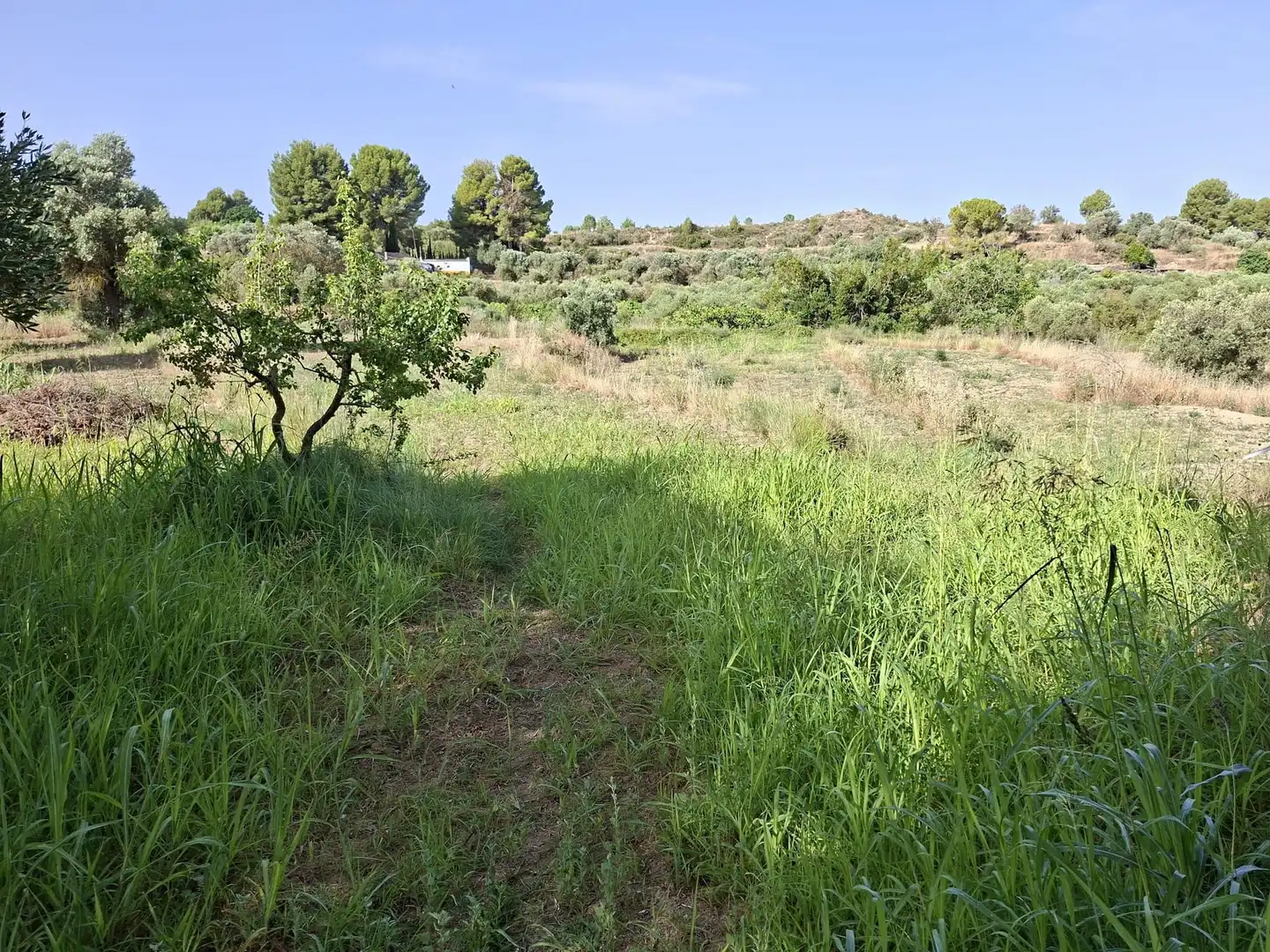 Country homes for sale in Caspe  with Private garden, Swimming Pool and Furnished